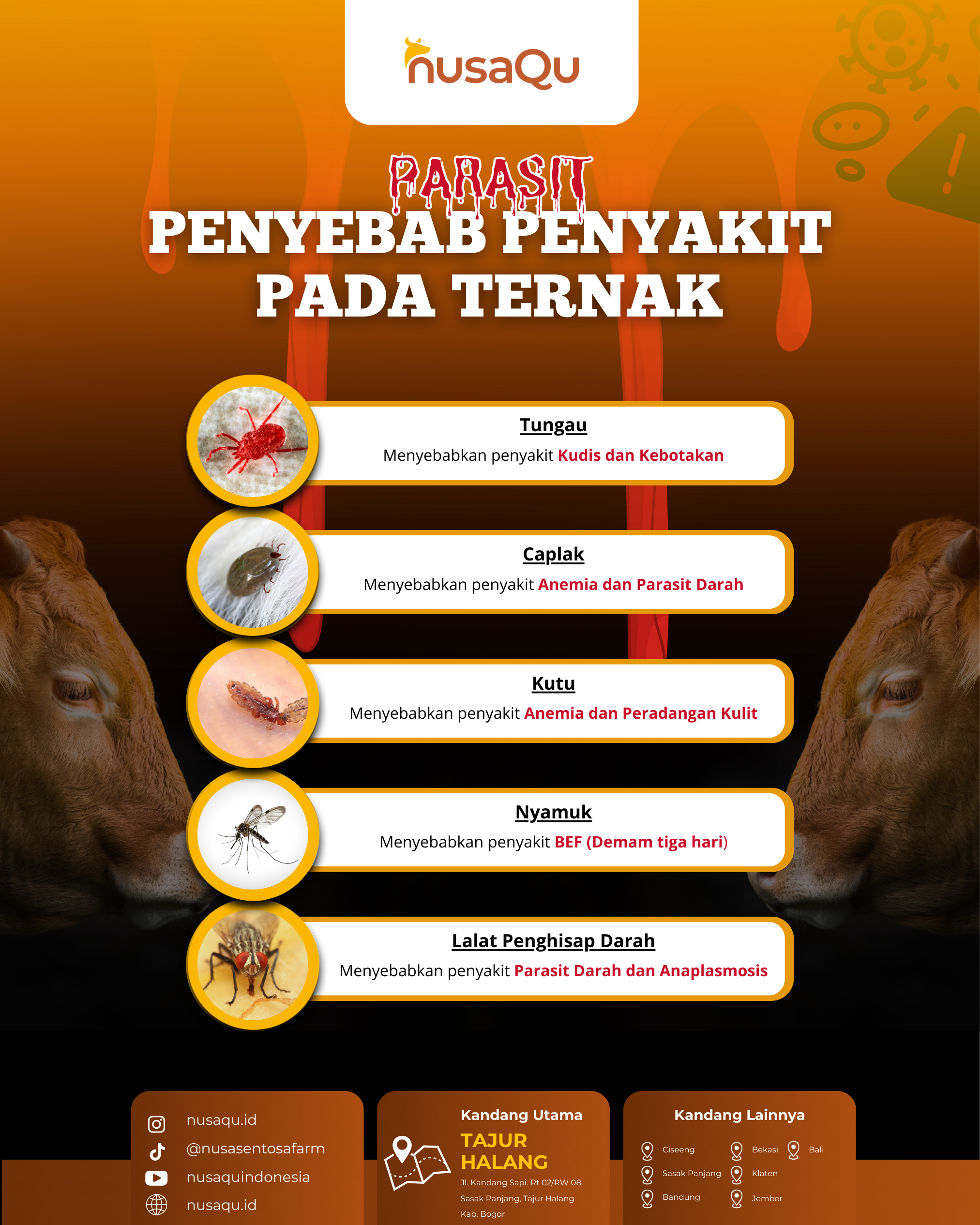 Gambar Artikel