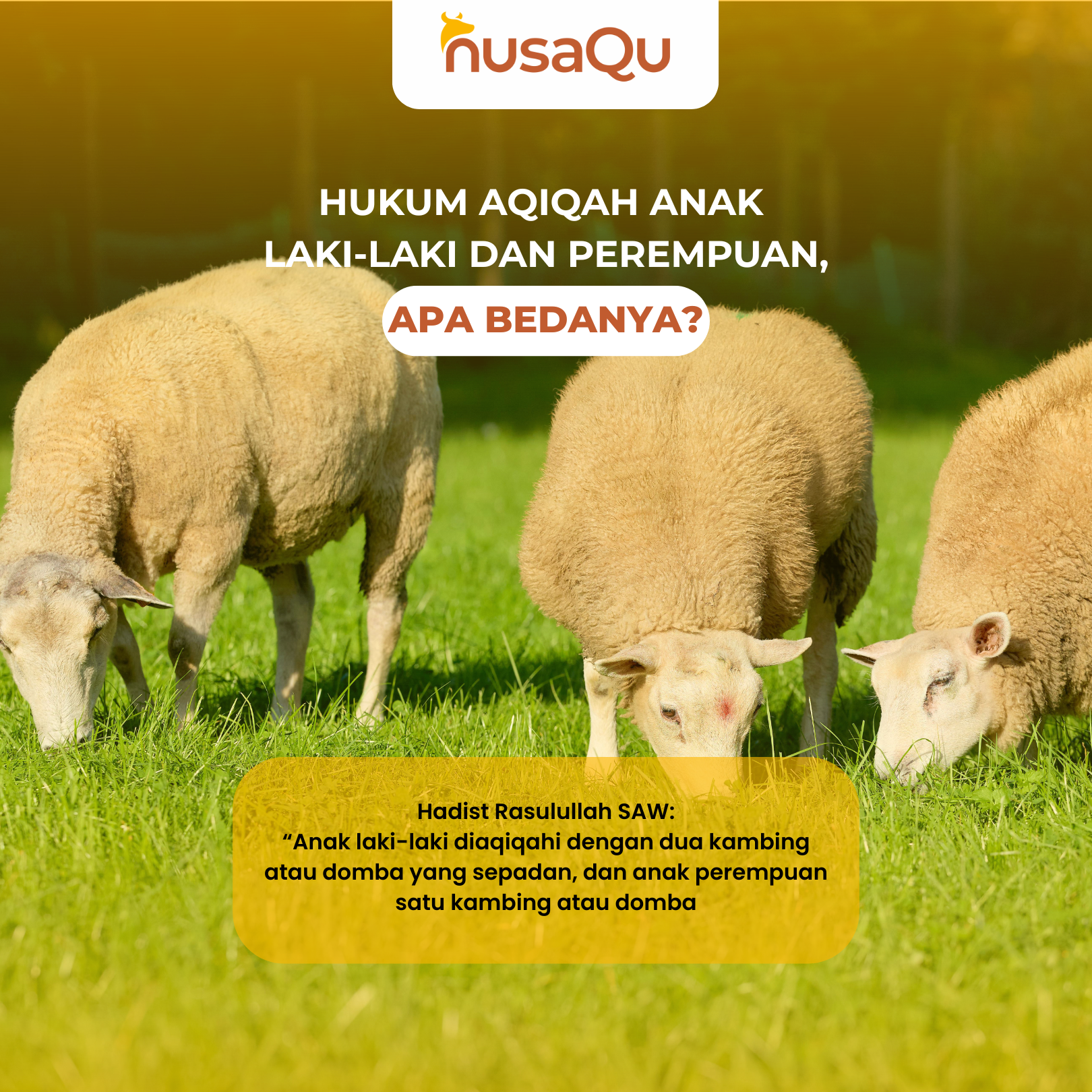 Gambar Artikel